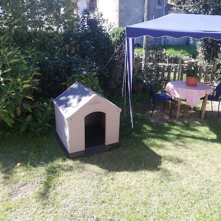 Acogedor Chalet De Tres Habitaciones En El Valle De Cabuerniga, Ideal Familias Grupos Y Mascotas Somos Pet Friendly, Estancia Minima Dos Noches Lamina Εξωτερικό φωτογραφία