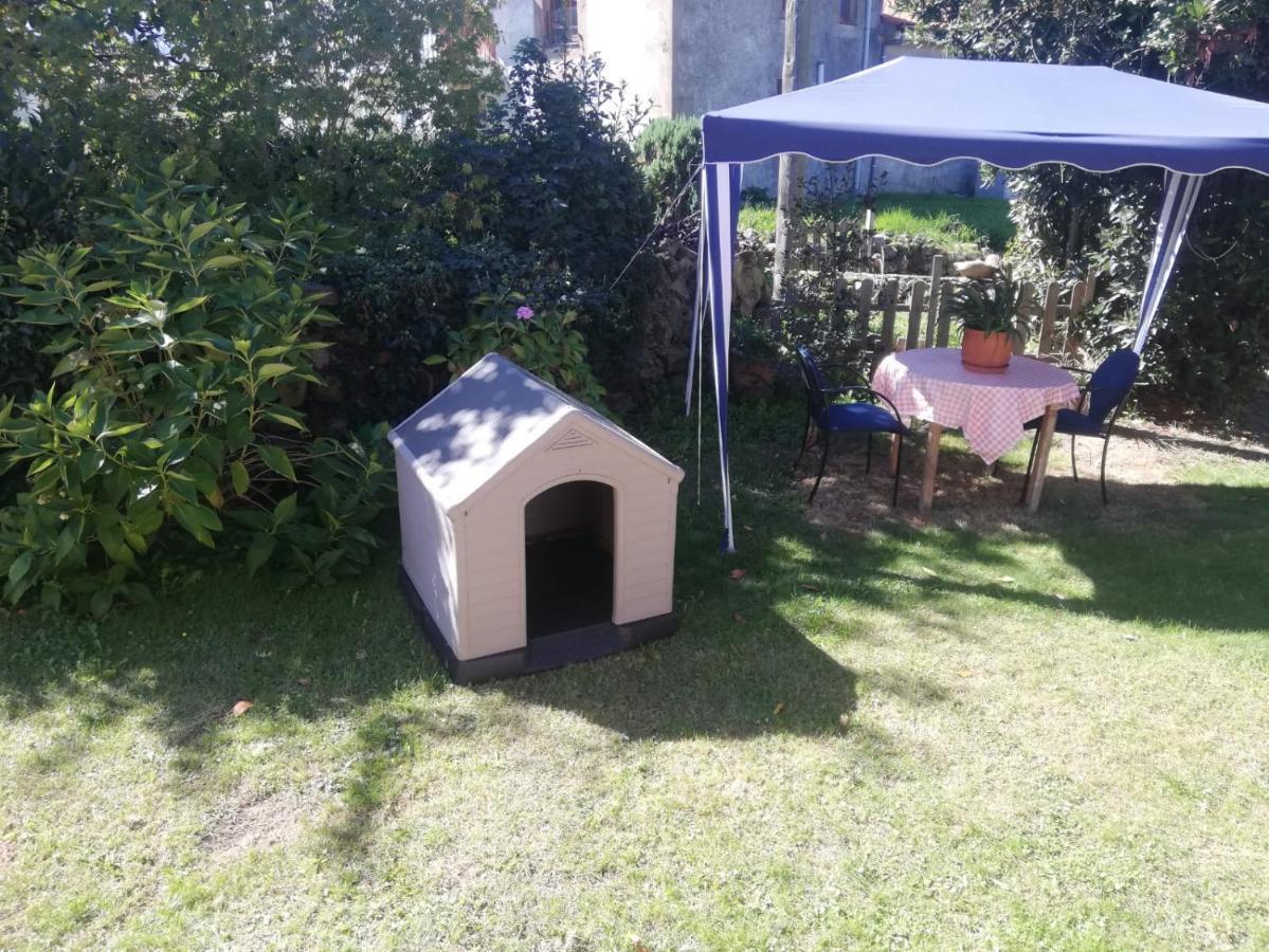 Acogedor Chalet De Tres Habitaciones En El Valle De Cabuerniga, Ideal Familias Grupos Y Mascotas Somos Pet Friendly, Estancia Minima Dos Noches Lamina Εξωτερικό φωτογραφία
